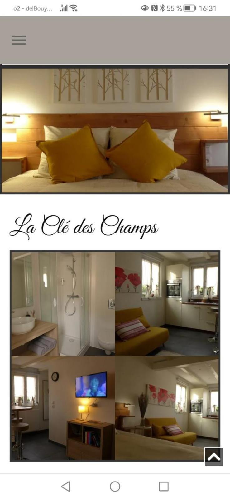 Gites De La Bonne Etoile Geispolsheim Buitenkant foto